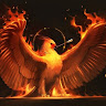 rkva's Profile Picture
