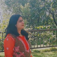SheelDivekar's Profile Picture