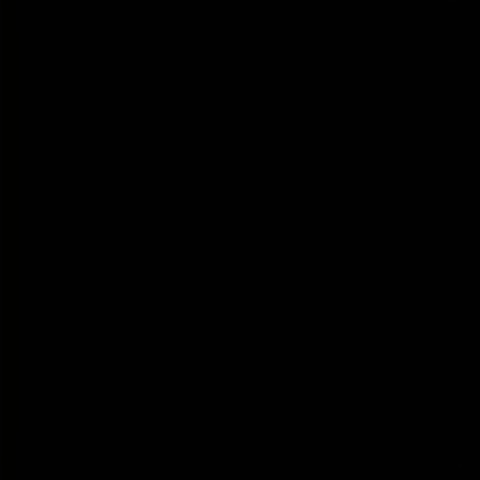 Larishaaranha's Profile Picture