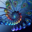prabhaa56's Profile Picture