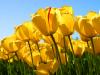anuradha946's Profile Picture