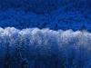 rachna_twr@yahoo.com's Profile Picture