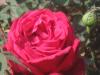 hrpriya's Profile Picture