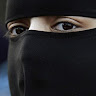 shnelofhar@gmail.com's Profile Picture