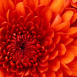 Chitrappa's Profile Picture