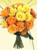 sabari_unnithan's Profile Picture