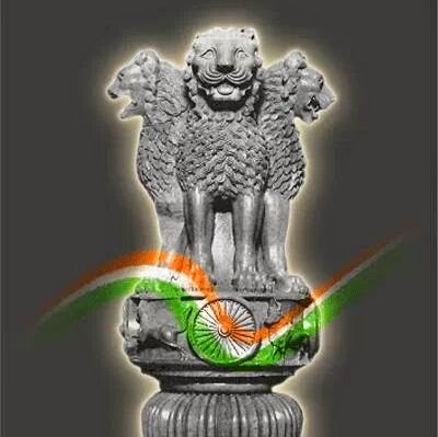 sunil.mudgal's Profile Picture