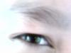sherilim08's Profile Picture
