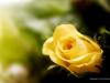 RADJ SATHISKUMAR's Profile Picture
