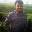 sujeeshks's Profile Picture