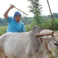 Binod Kumar Hyderabad's Profile Picture