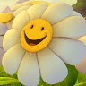 Nandini Sutrave's Profile Picture