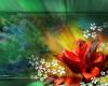 Shalini S J's Profile Picture