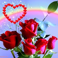 maksud shaikh's Profile Picture