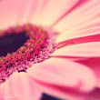 swati.khetle88@gmail.com's Profile Picture