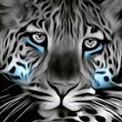 HR_Rana's Profile Picture