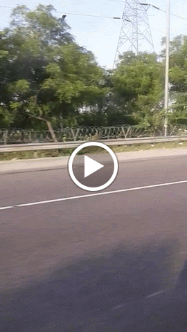 mukeshkumar25688's Profile Picture