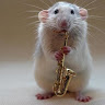sharm@ruchi's Profile Picture