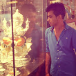 aashish-dhingra's Profile Picture