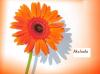 akshada@dishadirect.in's Profile Picture