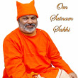 nikita-bhagwani's Profile Picture