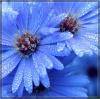 Hemakrishnan's Profile Picture