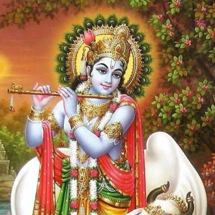 NarasimhaRao PV's Profile Picture