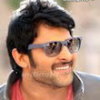 sri-priya1's Profile Picture