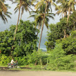 rajesh-sawant1's Profile Picture