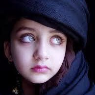 talat-shireen's Profile Picture