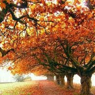 swarna-latha1's Profile Picture