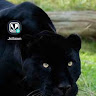 gopal-jadhav's Profile Picture