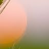 lbalamurugan's Profile Picture