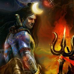om-singh1's Profile Picture
