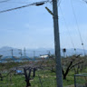 jithincr.iimk@gmail.com's Profile Picture
