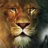 nayna-nayna's Profile Picture