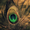 chitraramansri@gmail.com's Profile Picture