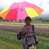 Agila Vetriazhagan's Profile Picture