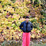 gulshan-sharma's Profile Picture
