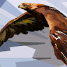 Eagle007's Profile Picture