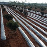 rajesh-m-s3891088's Profile Picture