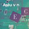 aslam-vn's Profile Picture