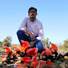 prasenjit-saha's Profile Picture