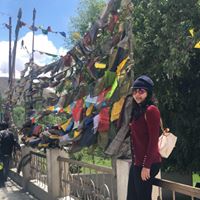 manipoor's Profile Picture