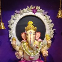 shailenk51's Profile Picture