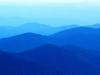 Vishnu_remidi's Profile Picture
