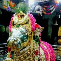 trisha_hr's Profile Picture