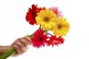ameeta.mefcom's Profile Picture